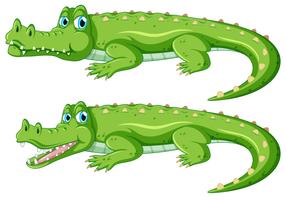 Set of crocodile character