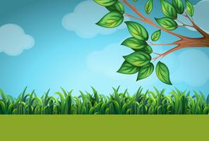 Scene with grass and tree vector