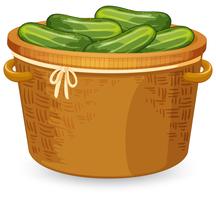Cucumber in basket weaving vector