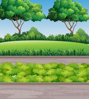 Scene at park with lawn and trees vector