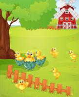 Little chicks on the farmyard vector