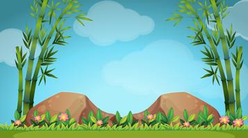 Scene with rocks and bamboo vector