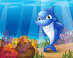 A scary blue shark under the sea vector