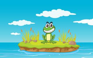 a frog and a water vector