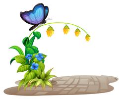 Butterfly and flower vector