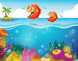 Two scary piranhas at the sea vector