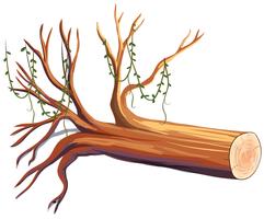 Wooden log with vine vector