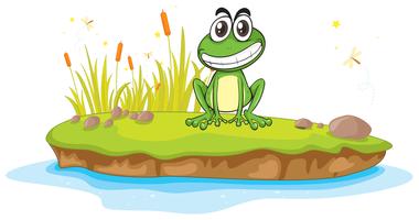 a frog and a water vector