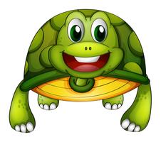 Una tortuga verde vector