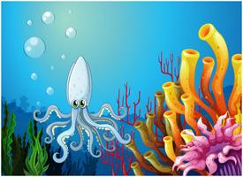 A squid under the sea vector