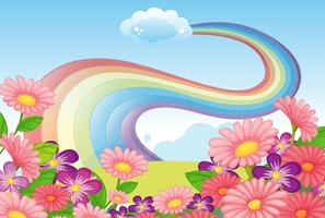 Flowers at the hilltop and a rainbow in the sky vector