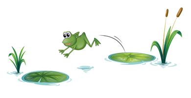 A jumping frog vector