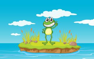 a frog and water vector