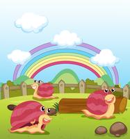 Smiling snails and a rainbow vector
