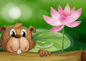 A beaver beside a pink flower  vector