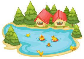 duckling in a pond vector