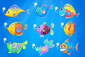 Nine colourful fishes under the deep ocean vector