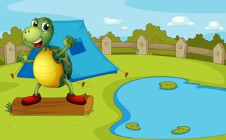 Una tortuga al lado del estanque dentro de una cerca. vector