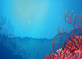 Corales hermosos bajo el mar vector