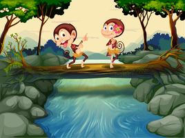 Two monkeys dancing while crossing the river  vector