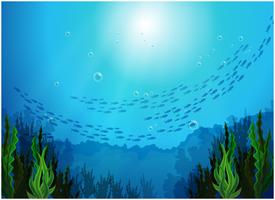 Escuela de peces bajo el mar. vector