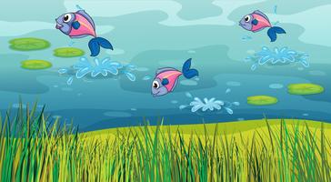 A fish in a river and a beautiful landscape vector