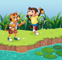 A monkey and a tiger playing vector