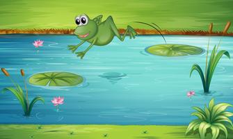 Leaping Frog Vector Art, Icons, and Graphics for Free Download