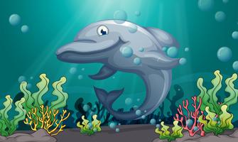 A shark under the sea vector