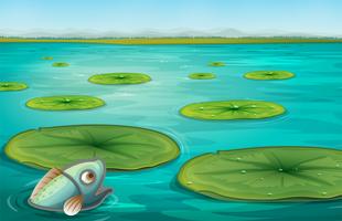 lily pads vector