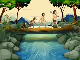 The evolution of man at the river vector