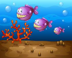 Fish underwater vector