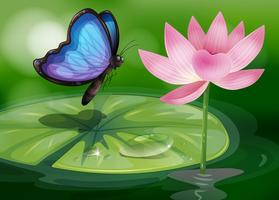 A butterfly near the pink flower at the pond vector