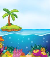 coral and palm tree on island vector