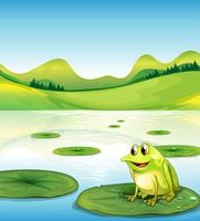 A frog above the water lilly vector