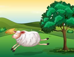 A sheep vector