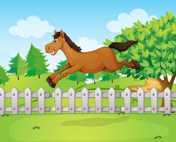 A horse jumping over the fence vector