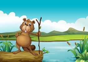 A beaver at the river vector