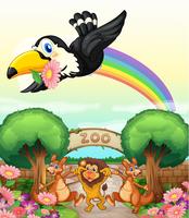 a zoo and the animals vector