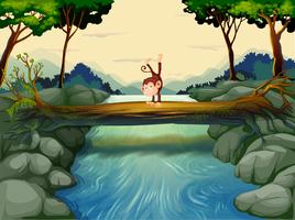 A monkey crossing the river vector