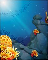 The corals near the rocks and the school of fish vector