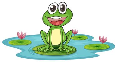 frog and water vector