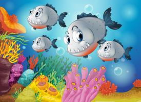 Cuatro peces grises bajo el mar vector