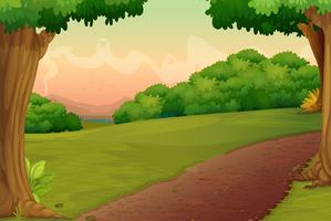 country path vector