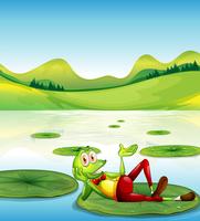 A frog above the waterlily floating at the pond vector