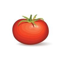 Tomate. Logotipo vegetal. Ilustración del vector del producto del tomate naural.