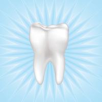 Tooth isolated. Teeth white sign. Dental medical illustration. vector