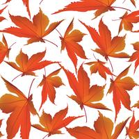 Autumn leaves background. Floral seamless pattern. Fall leaf nature vector