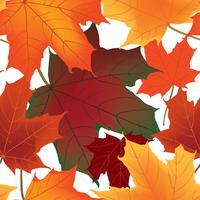 Autumn maple leaves seamless pattern Floral background vector