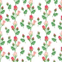 Floral seamless pattern. Flower background. Flourish garden texture vector